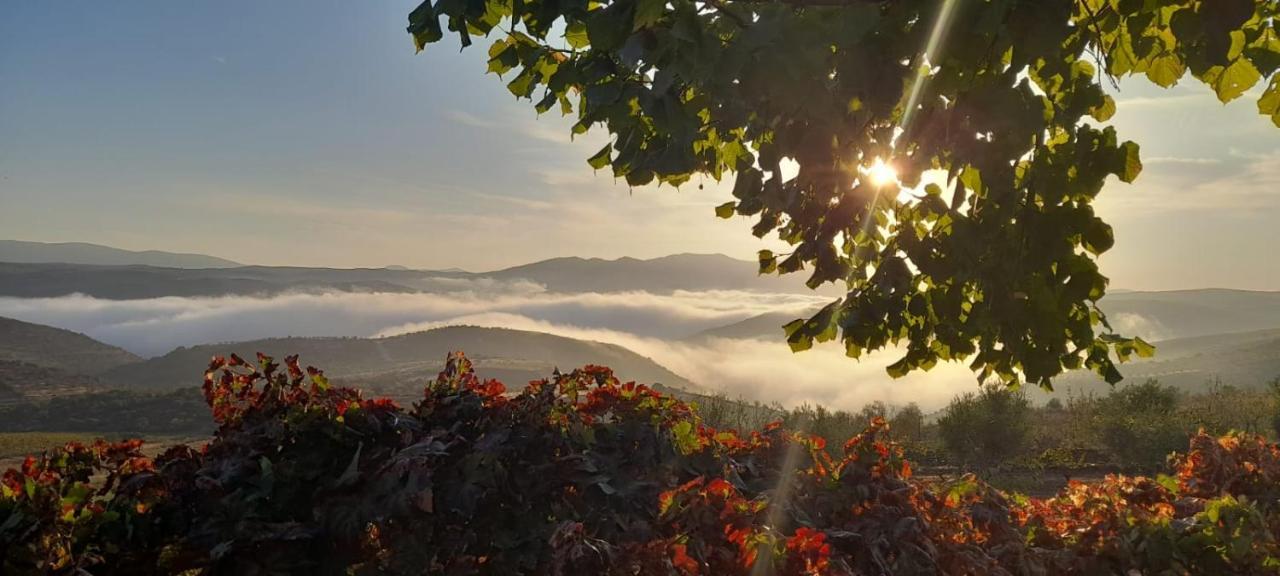 Farm stay Quinta Alto Da Fraga Vila Nova de Foz Coa