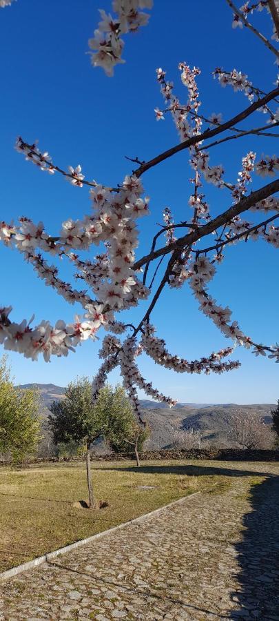 Farm stay Quinta Alto Da Fraga
