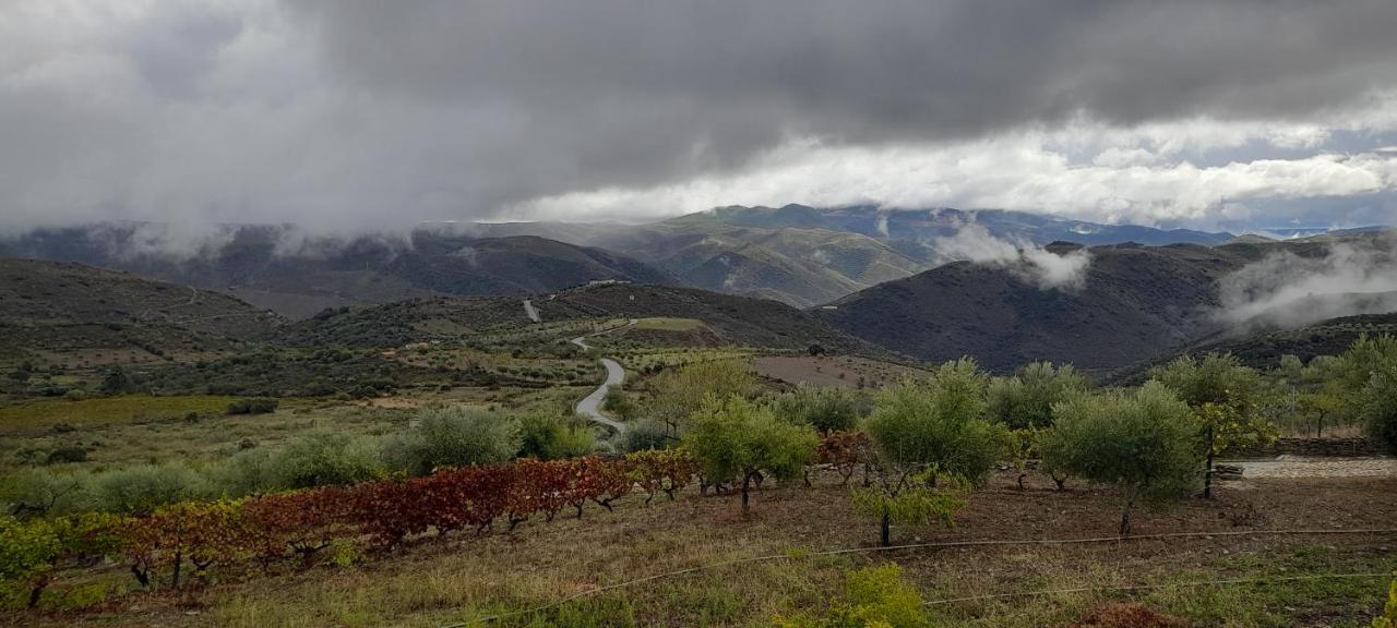 Quinta Alto Da Fraga Farm stay