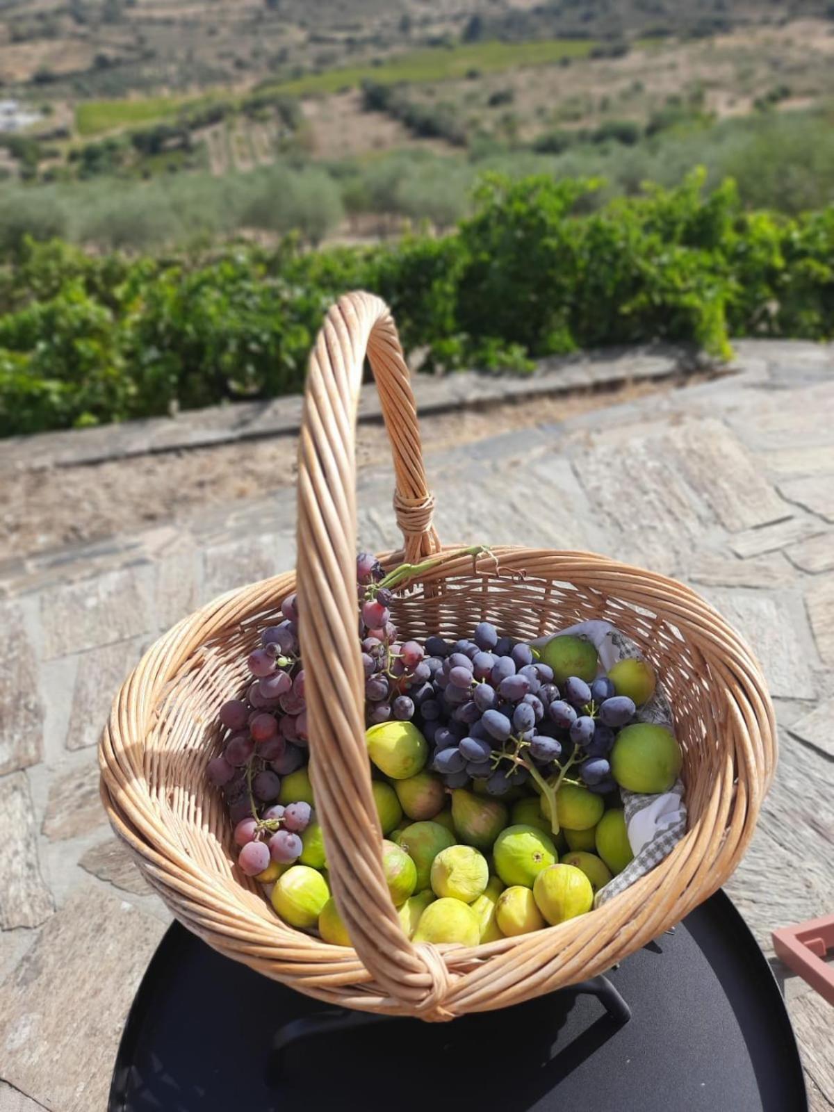 Quinta Alto Da Fraga *